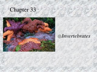 Chapter 33