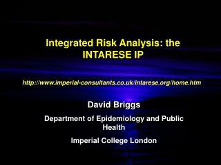 Integrated Risk Analysis: the INTARESE IP