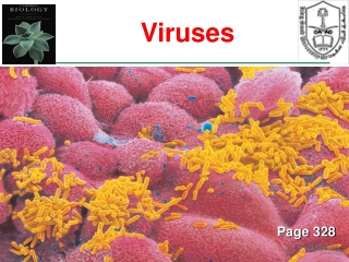 Viruses