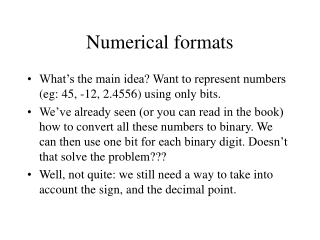 Numerical formats