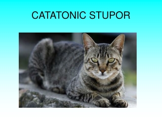 CATATONIC STUPOR