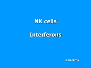NK cells Interferons J. Ochotná