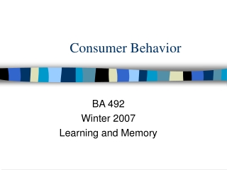 Consumer Behavior