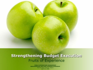 Strengthening Budget Execution