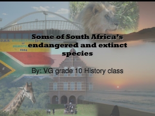 Some of South Africa’s endangered and extinct species