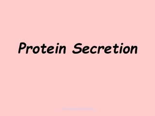 Protein Secretion