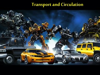 Transport and Circulation