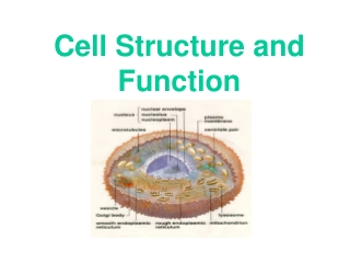 Cell Structure and Function