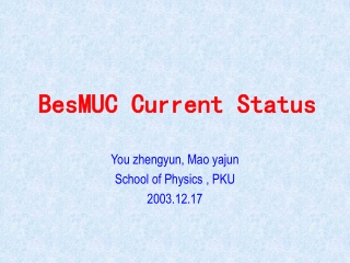 BesMUC Current Status