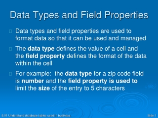 Data Types and Field Properties