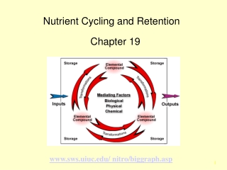 Nutrient Cycling and Retention