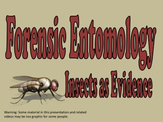 Forensic Entomology