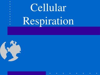 Cellular Respiration