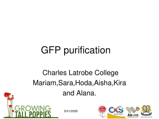 GFP purification