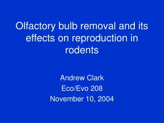 Olfactory bulb removal and its effects on reproduction in rodents