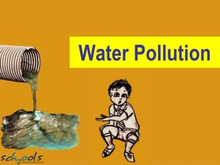 Water Pollution