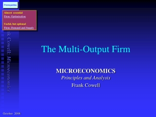 The Multi-Output Firm