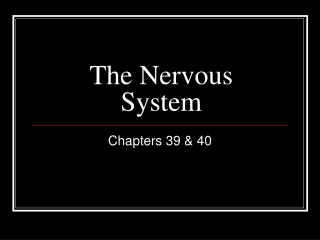 The Nervous System