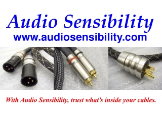 Audio Sensibility