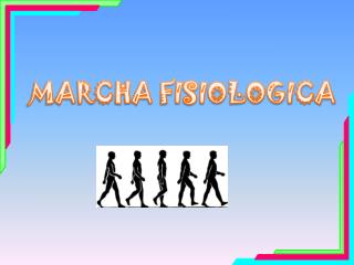 MARCHA FISIOLOGICA