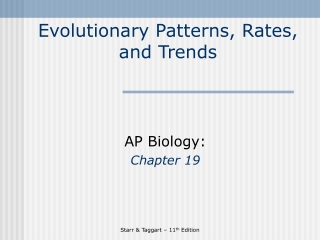 Evolutionary Patterns, Rates, and Trends