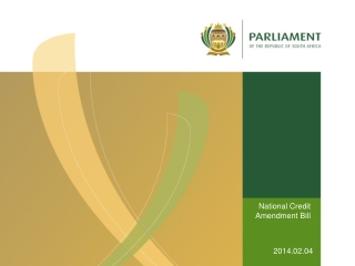 National Credit Amendment Bill