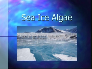 Sea Ice Algae
