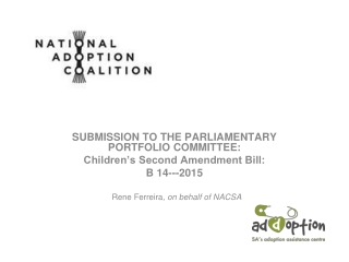 SUBMISSION TO THE PARLIAMENTARY PORTFOLIO COMMITTEE:  Children’s Second Amendment Bill: