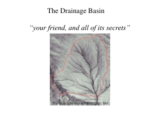 The Drainage Basin     “your friend, and all of its secrets”