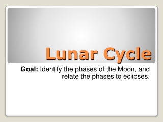 Lunar Cycle