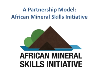 A Partnership Model:  African Mineral Skills Initiative