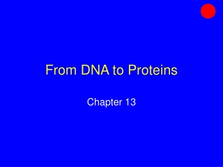 From DNA to Proteins