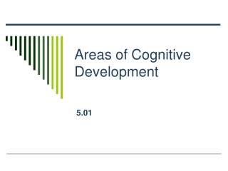 Areas of Cognitive Development