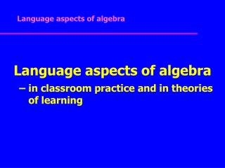 Language aspects of algebra