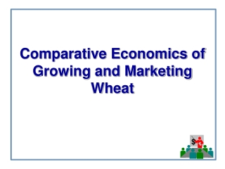 Comparative Economics of Growing and Marketing Wheat