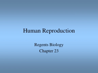 Human Reproduction