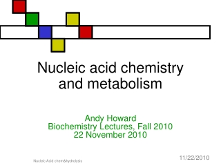 Nucleic acid chemistry and metabolism