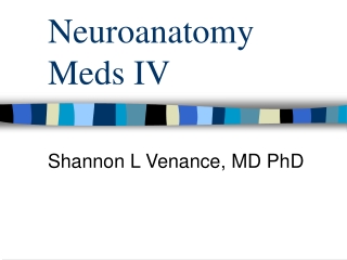 Neuroanatomy  Meds IV