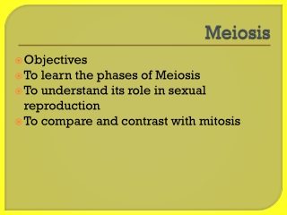 Meiosis