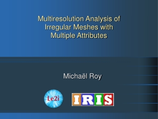 Multiresolution Analysis of  Irregular Meshes with Multiple Attributes