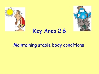 Key Area 2.6