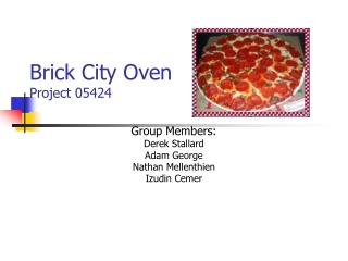 Brick City Oven Project 05424