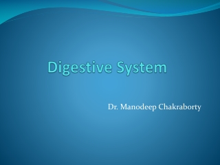 Digestive System