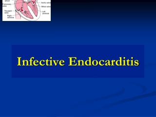 Infective  Endocarditis