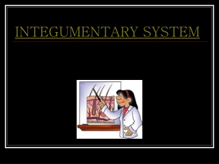 INTEGUMENTARY SYSTEM