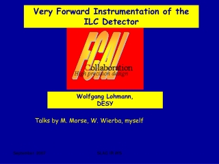 Very Forward Instrumentation of the ILC Detector