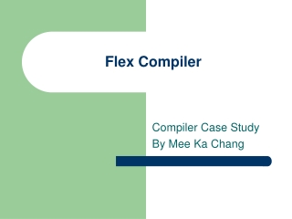 Flex Compiler