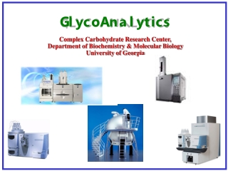 Complex Carbohydrate Research Center,  Department of Biochemistry &amp; Molecular Biology