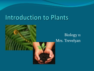 Introduction to Plants