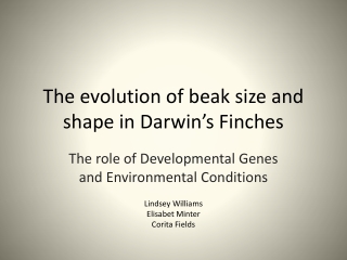 The evolution of beak size and shape in Darwin’s Finches